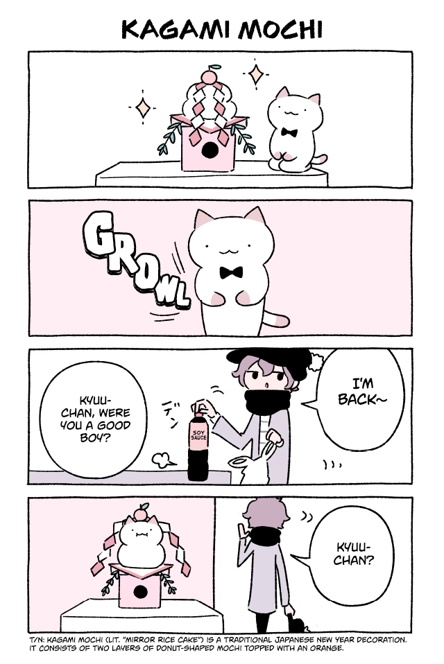 Wonder Cat Kyuu-chan Chapter 250 1